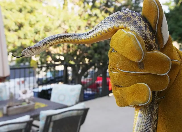 Alpha Wildlife Removal — photo from the business 9