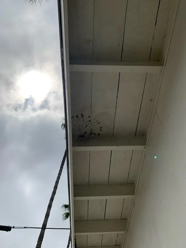 Customer photo from A's review