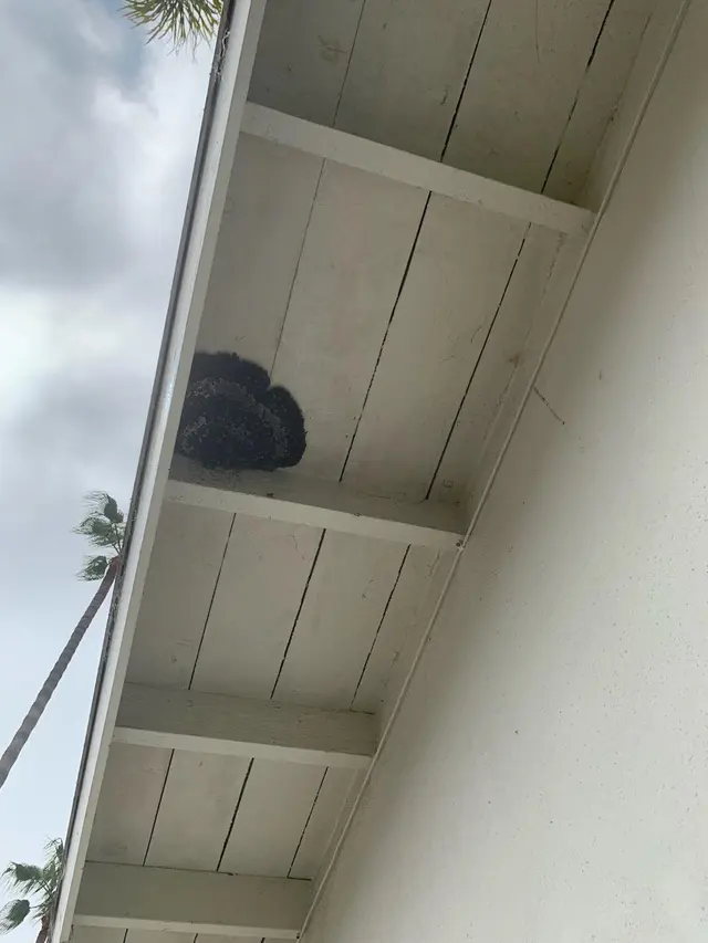 Customer photo from A's review