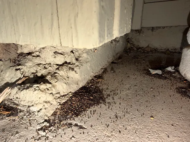 Legacy Pest Management — photo from the business 2