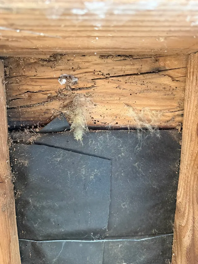 Legacy Pest Management — photo from the business 11