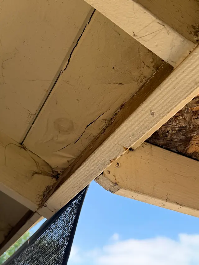Legacy Pest Management — photo from the business 4