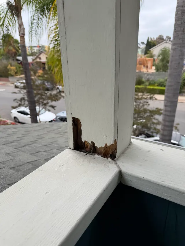 Legacy Pest Management — photo from the business 10