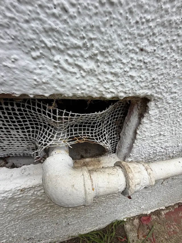 Legacy Pest Management — photo from the business 5