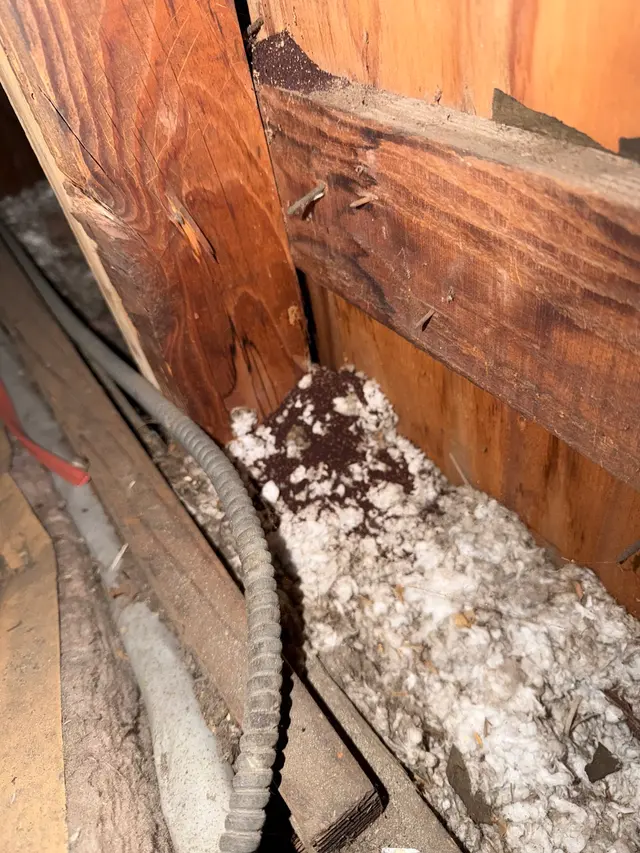 Legacy Pest Management — photo from the business 8