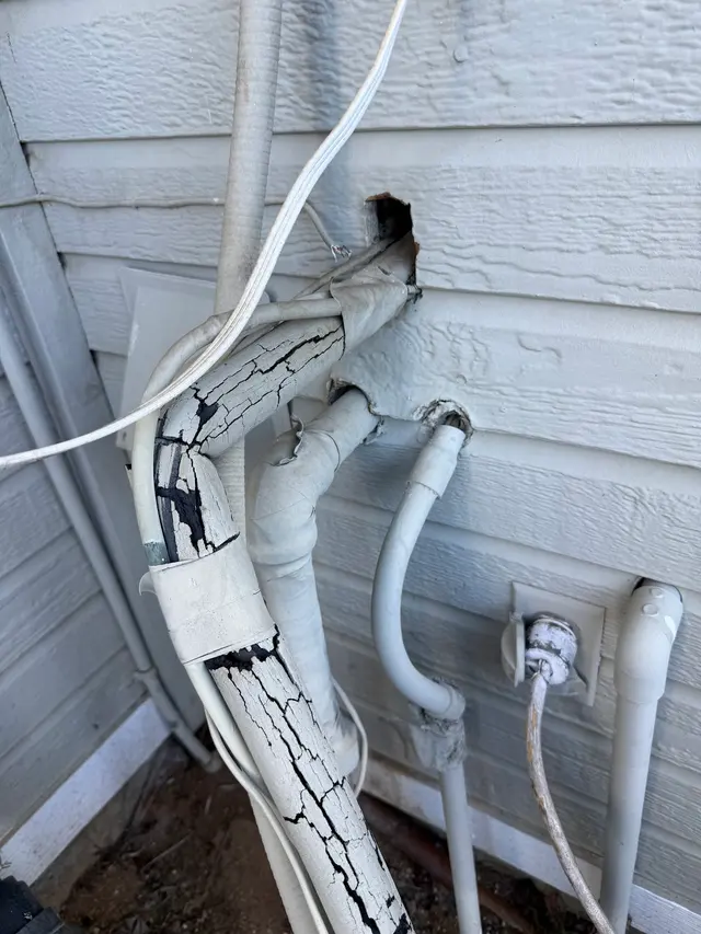 Legacy Pest Management — photo from the business 9