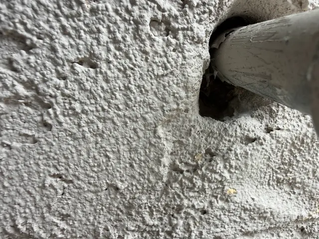 Legacy Pest Management — photo from the business 12