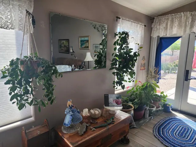 GreenShield Pest Control — customer photo 2