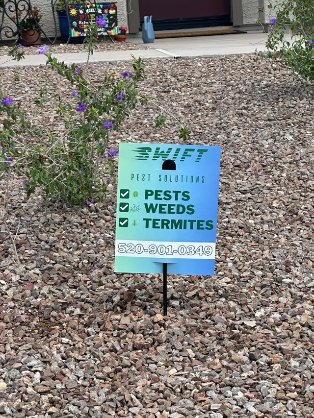 Swift Pest Solutions — photo from the business 5