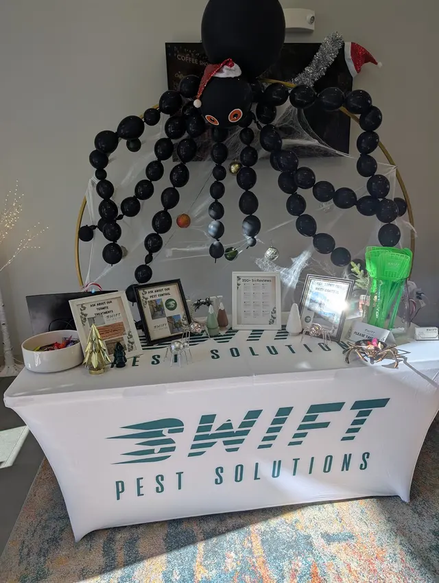 Swift Pest Solutions — photo from the business 6