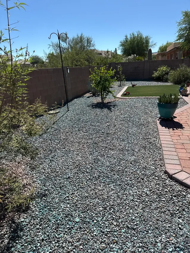 Swift Pest Solutions — customer photo 4
