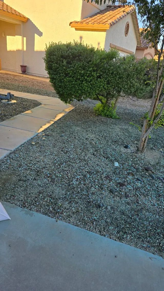 Customer photo of work by Swift Pest Solutions, from Julian Martinez's review