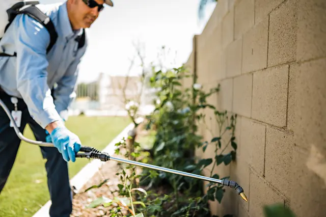Blue Sky Pest Control — photo from the business 11
