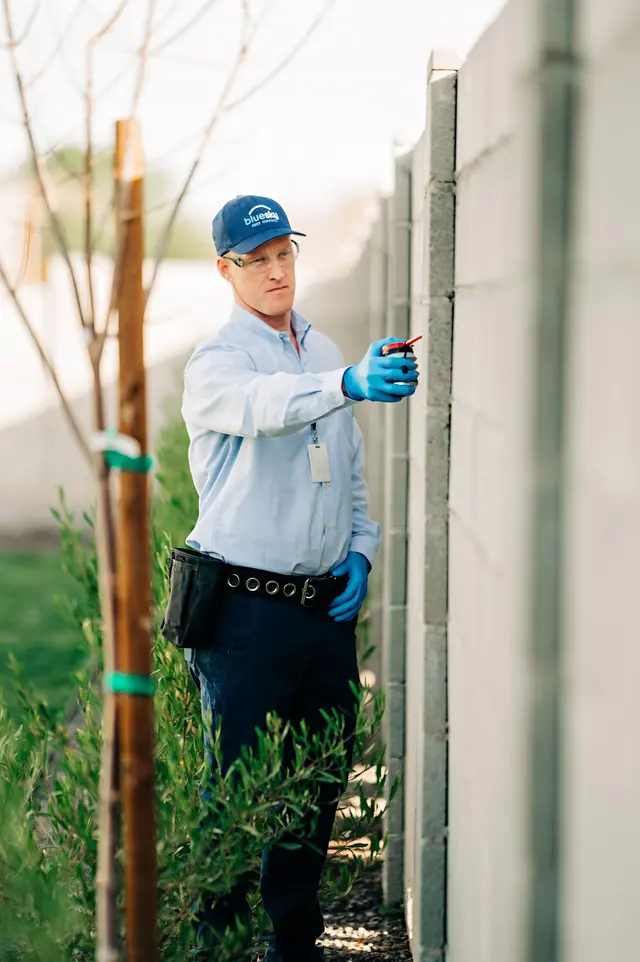Blue Sky Pest Control — photo from the business 12