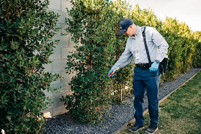 Blue Sky Pest Control — photo from the business 1