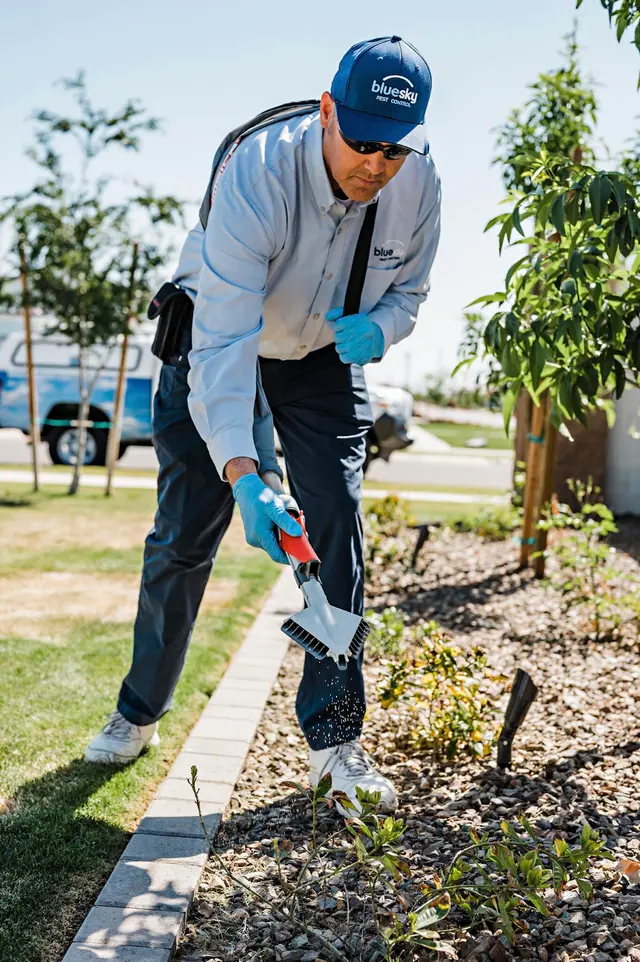 Blue Sky Pest Control — photo from the business 2