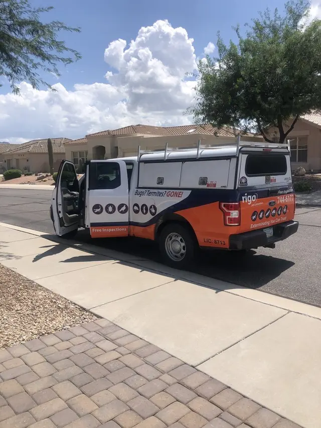 Rigo Pest Prevention — photo from the business 11