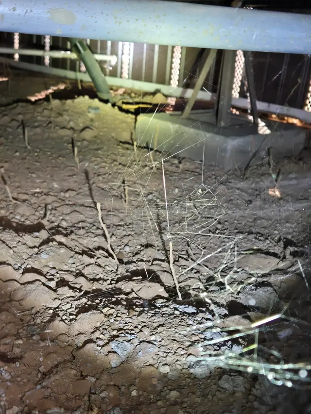 Rigo Pest Prevention — photo from the business 7