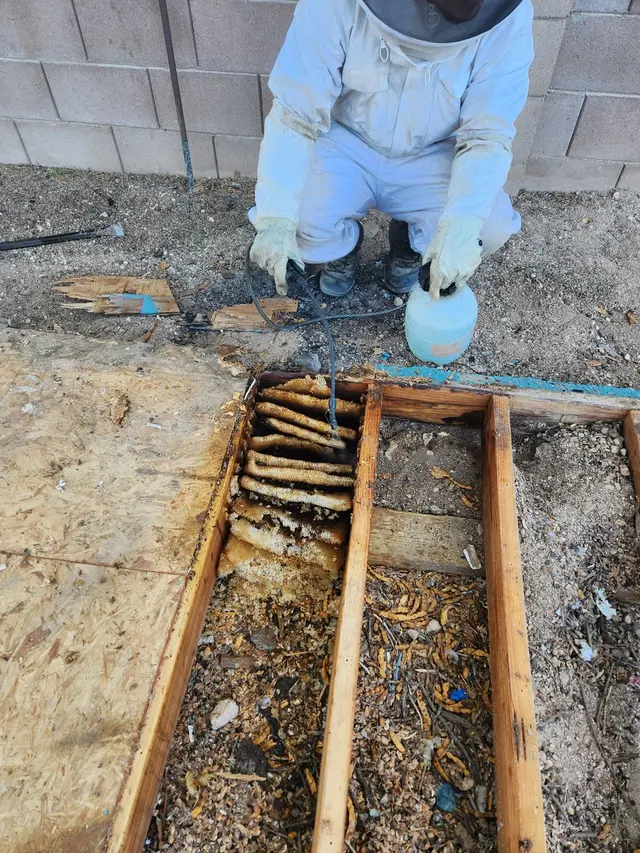 Rigo Pest Prevention — photo from the business 8