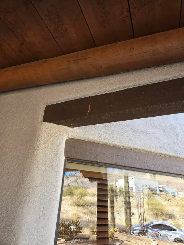 Rigo Pest Prevention — photo from the business 6