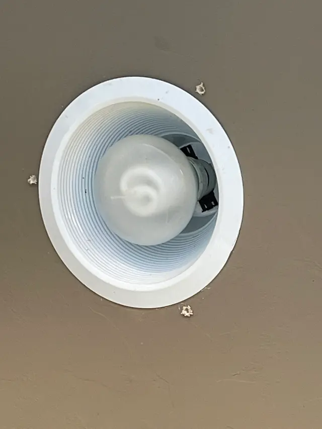 Rigo Pest Prevention — photo from the business 10