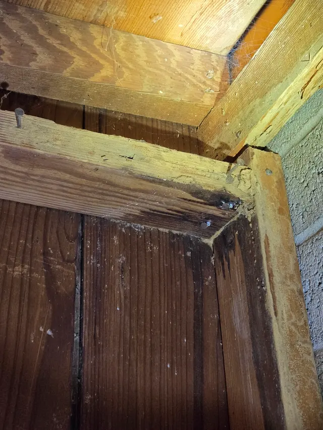 Rigo Pest Prevention — photo from the business 3