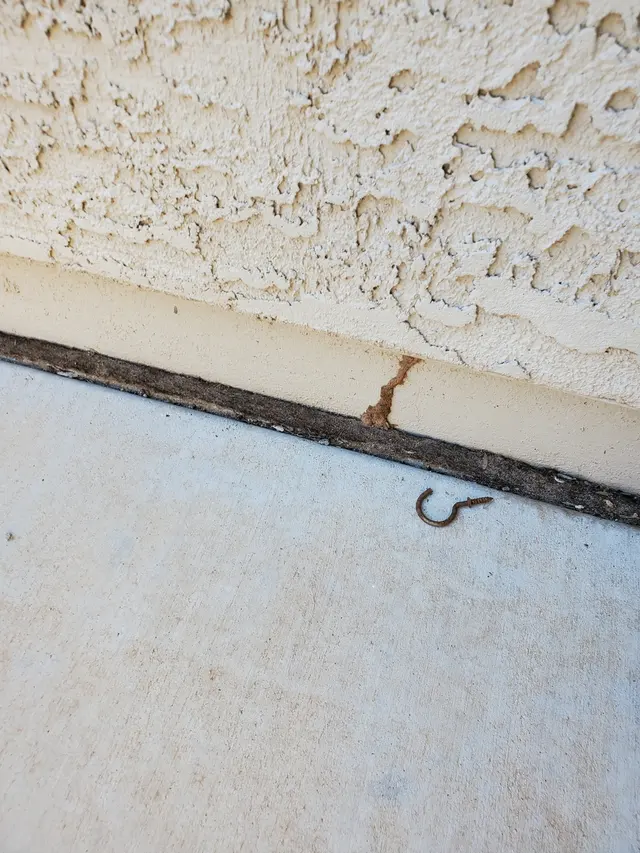 Rigo Pest Prevention — photo from the business 2