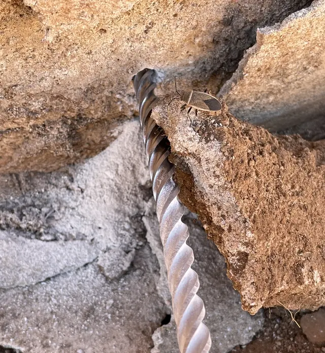 Rigo Pest Prevention — photo from the business 4