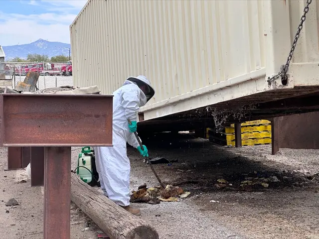 Responsible Pest & Scorpion Control — photo from the business 8