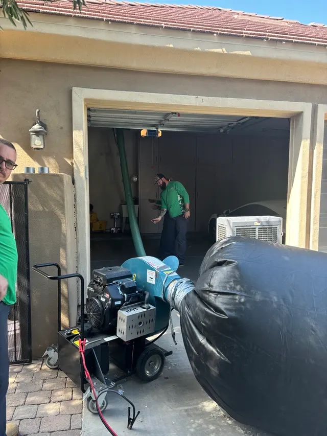Responsible Pest & Scorpion Control — photo from the business 2