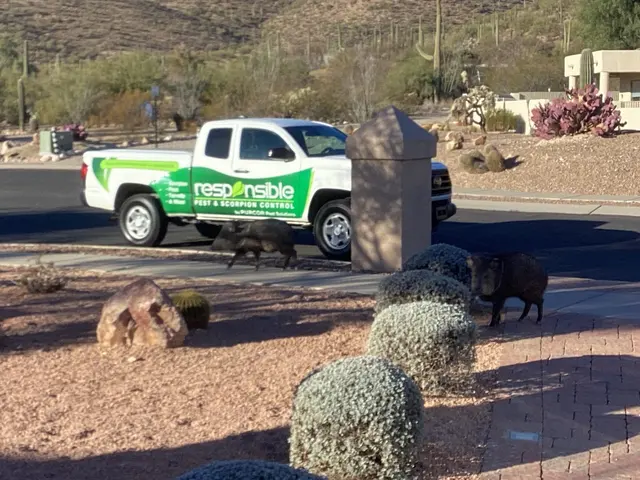 Responsible Pest & Scorpion Control — photo from the business 11
