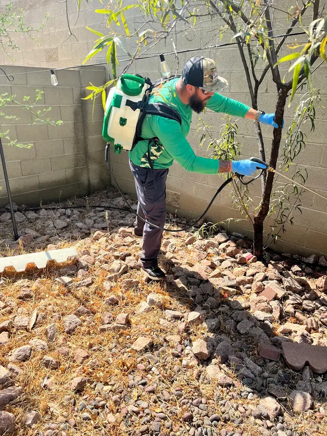 Responsible Pest & Scorpion Control — photo from the business 12