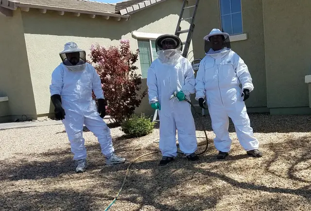 Results Pest & Termite, Bed Bug Control, & Bee Exterminator — photo from the business 8