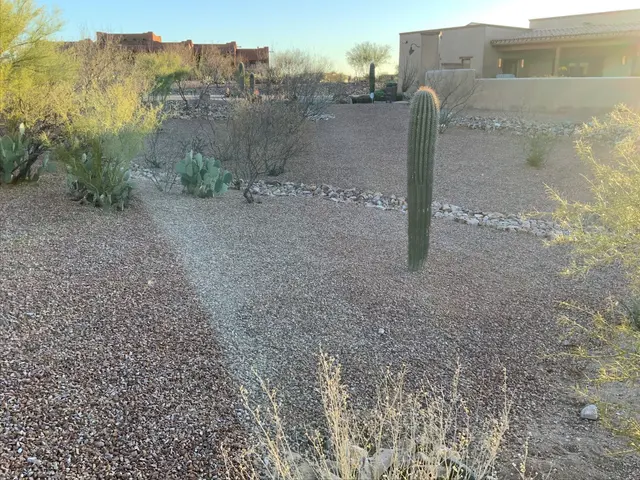 Results Pest & Termite, Bed Bug Control, & Bee Exterminator — customer photo 4