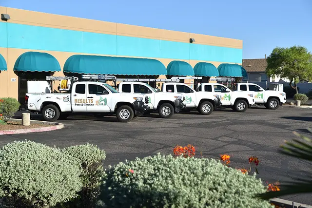 Results Pest & Termite, Bed Bug Control, & Bee Exterminator — photo from the business 3