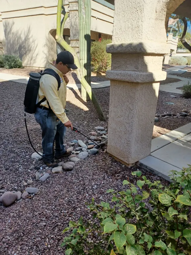 Results Pest & Termite, Bed Bug Control, & Bee Exterminator — photo from the business 6