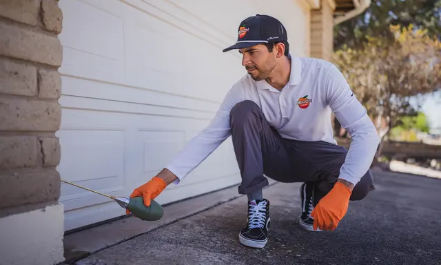 Peach Pest Co — photo from the business 10