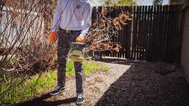 Peach Pest Co — photo from the business 7