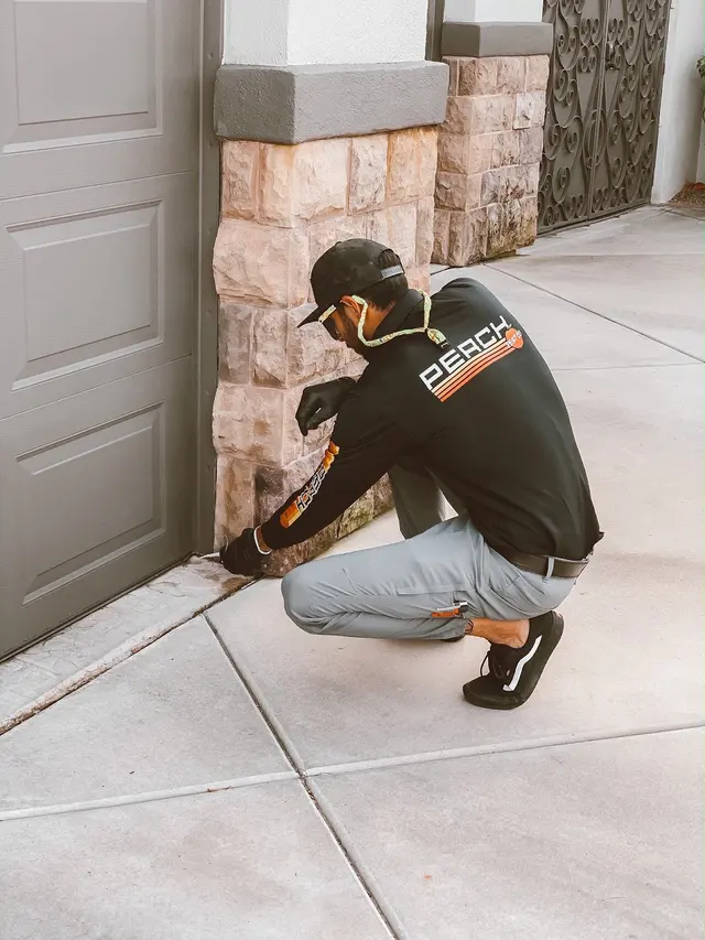 Peach Pest Co — photo from the business 5