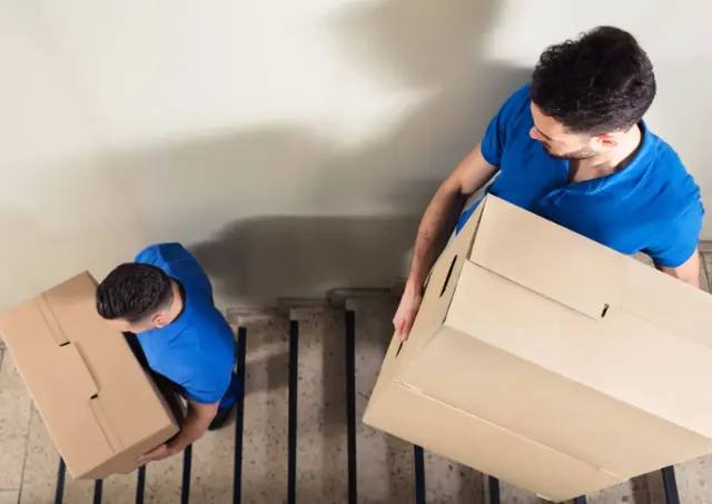 Fordson Movers — photo from the business 4