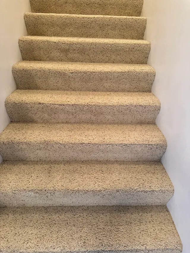 Customer photo of work by Quinlan's Carpet & Rug Cleaning, from Allison Krska's review