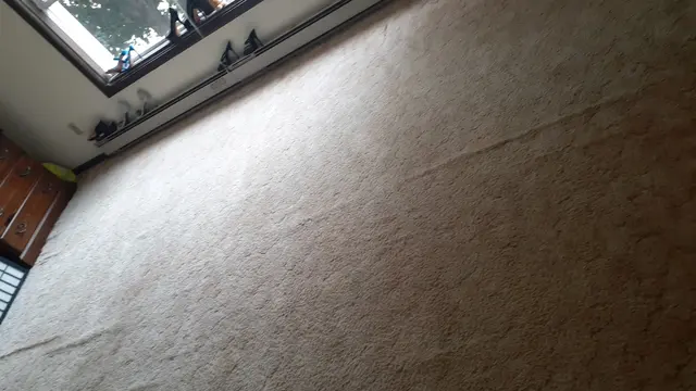 Quinlan's Carpet & Rug Cleaning — customer photo 8