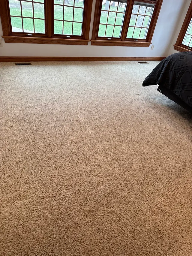 Quinlan's Carpet & Rug Cleaning — customer photo 5