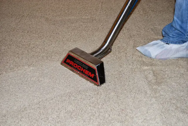 Carpet Wiser Carpet Cleaning — photo from the business 4