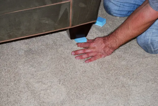 Carpet Wiser Carpet Cleaning — photo from the business 3