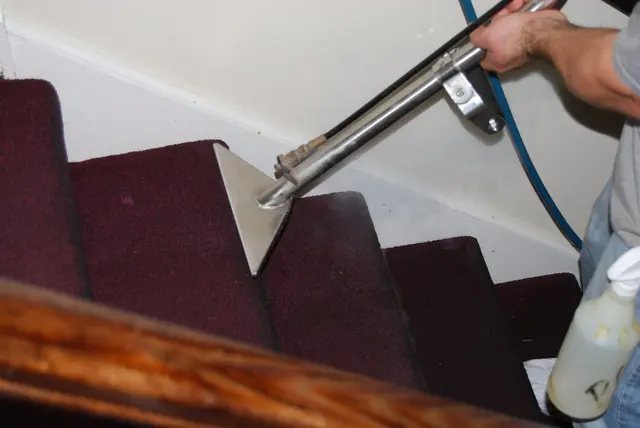 Carpet Wiser Carpet Cleaning — photo from the business 9