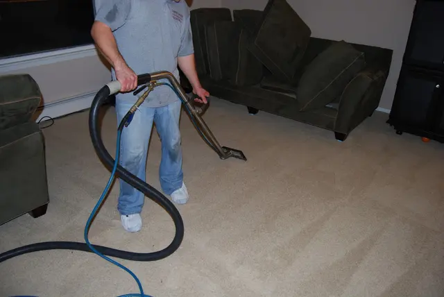 Carpet Wiser Carpet Cleaning — photo from the business 6