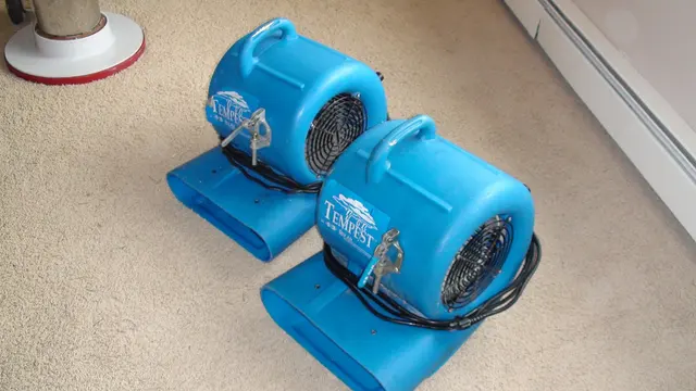 Carpet Wiser Carpet Cleaning — photo from the business 8