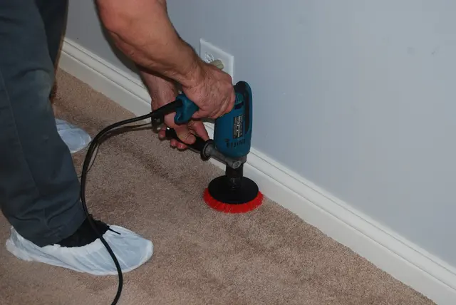 Carpet Wiser Carpet Cleaning — photo from the business 12