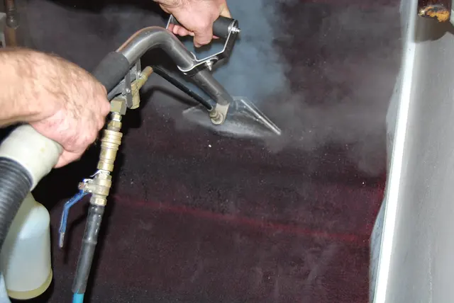 Carpet Wiser Carpet Cleaning — photo from the business 7